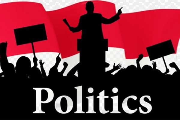 Kritik Terhadap Politik Indonesia